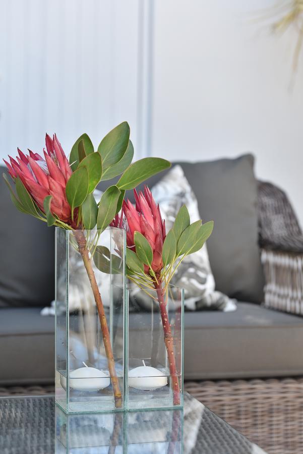Vilacqua Boutique Guest Villa Plettenberg Bay Luaran gambar