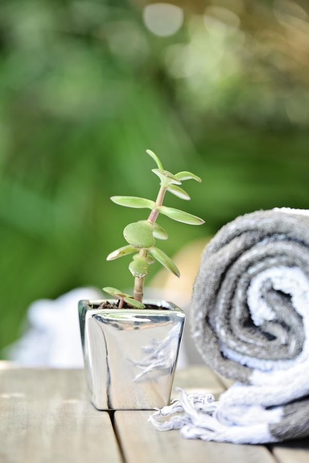Vilacqua Boutique Guest Villa Plettenberg Bay Luaran gambar