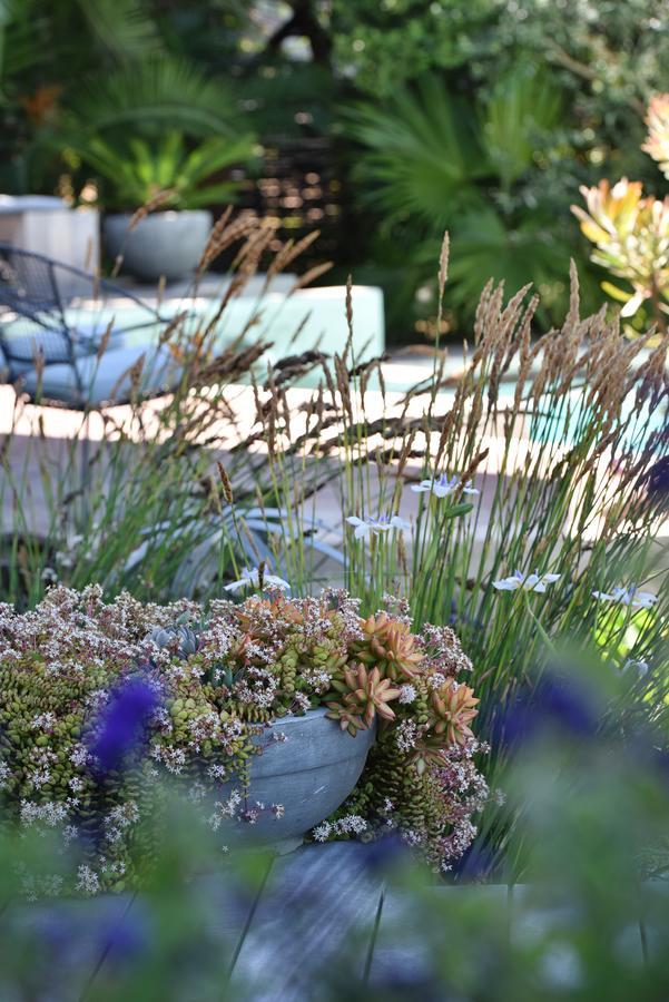 Vilacqua Boutique Guest Villa Plettenberg Bay Luaran gambar